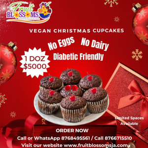 Christmas Fruit cupcakes (Vegan Friendly)