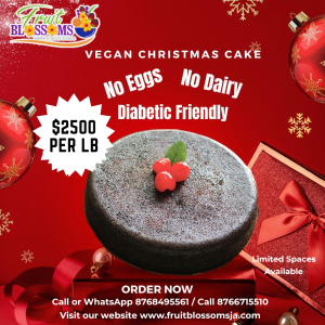 Christmas Fruit Cake (Vegan Friendly)